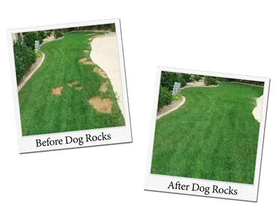 Dog Rocks 200 g – natuurlijke gazonbeschermer tegen urinevlekken - Afbeelding 4
