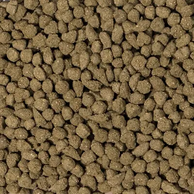 Beaphar Care+ konijnenvoer Senior 1,5 kg – vanaf 6 jaar - Afbeelding 4