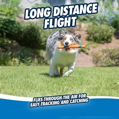 Chuckit Ultra Fetch Stick 28 cm – apporteerstok voor honden - Afbeelding 8