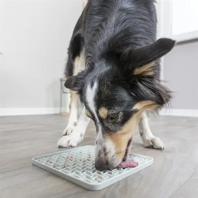 Trixie Lick'n'snack mat siliconen donkergrijs 20 x 20 cm - Afbeelding 6