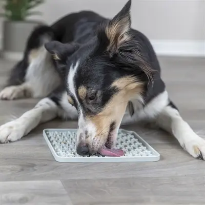 Trixie Lick'n'snack mat siliconen donkergrijs 20 x 20 cm - Afbeelding 7