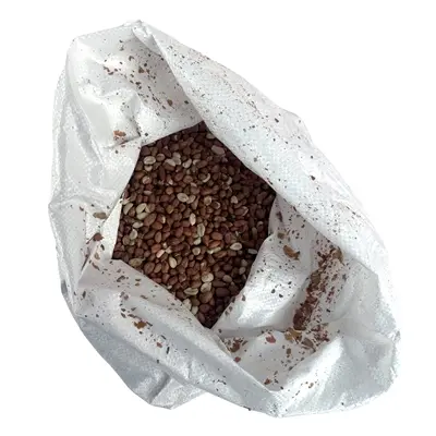 Gepelde pinda's 12,5 kg – eiwitrijk voer voor tuinvogels - Afbeelding 5