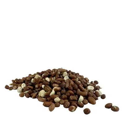 Gepelde pinda's 12,5 kg – eiwitrijk voer voor tuinvogels - Afbeelding 6