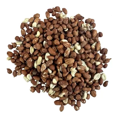 Gepelde pinda's 12,5 kg – eiwitrijk voer voor tuinvogels - Afbeelding 7
