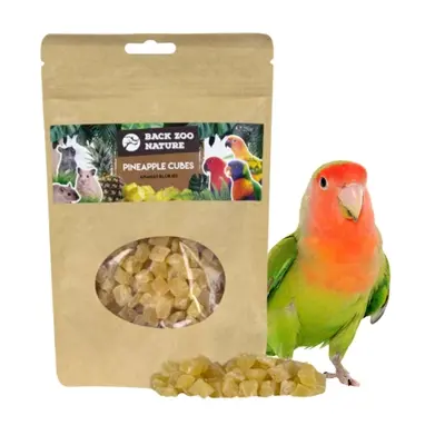 Back Zoo Nature ananas cubes 250 g – gedehydrateerde fruitsnack - Afbeelding 5