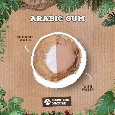 Back Zoo Nature arabische gom 50 g – natuurlijk bindmiddel voor foerageren - Afbeelding 6