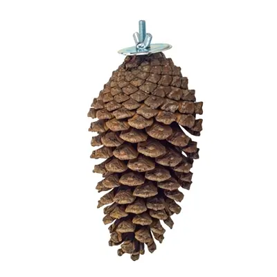 Back Zoo Nature Foraging Pine Cone 15-20 cm – dennenappel foerageerspeeltje