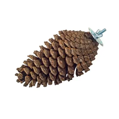 Back Zoo Nature Foraging Pine Cone 15-20 cm – dennenappel foerageerspeeltje - Afbeelding 4