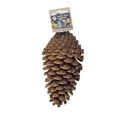 Back Zoo Nature Foraging Pine Cone 15-20 cm – dennenappel foerageerspeeltje - Afbeelding 5