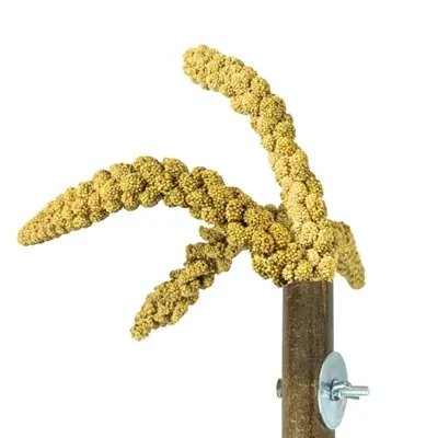 Back Zoo Nature Grass Keeper 20 x 3 cm – bamboe voederhouder - Afbeelding 4