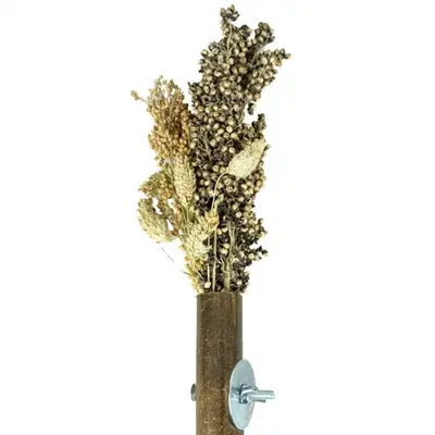 Back Zoo Nature Grass Keeper 20 x 3 cm – bamboe voederhouder - Afbeelding 5