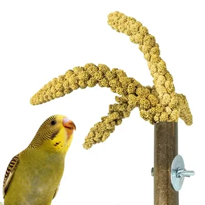 Back Zoo Nature Grass Keeper 20 x 3 cm – bamboe voederhouder - Afbeelding 6