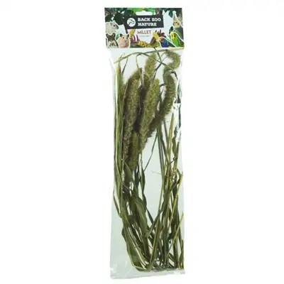 Back Zoo Nature millet Setaria 30 g – natuurlijke aanvulling