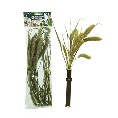 Back Zoo Nature millet Setaria 30 g – natuurlijke aanvulling - Afbeelding 4