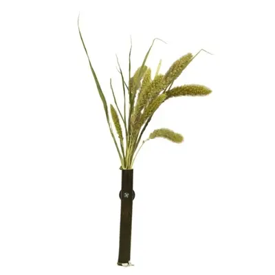 Back Zoo Nature millet Setaria 30 g – natuurlijke aanvulling - Afbeelding 5