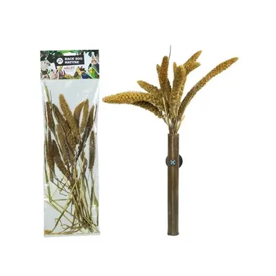 Back Zoo Nature millet Setaria Italica 50 g – natuurlijke aanvulling - Afbeelding 4