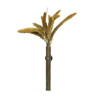 Back Zoo Nature millet Setaria Italica 50 g – natuurlijke aanvulling - Afbeelding 5