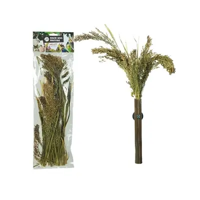 Back Zoo Nature trosgierst Millet Panicum 40 g – voor vogels en knaagdieren - Afbeelding 2