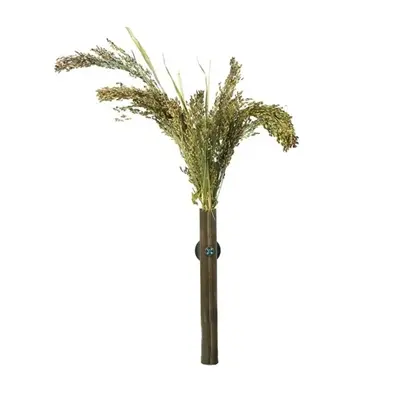 Back Zoo Nature trosgierst Millet Panicum 40 g – voor vogels en knaagdieren - Afbeelding 3