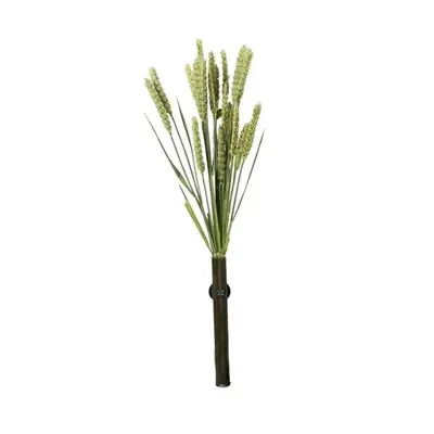 Back Zoo Nature millet tarwe 50 g – natuurlijke aanvulling voor vogels - Afbeelding 5