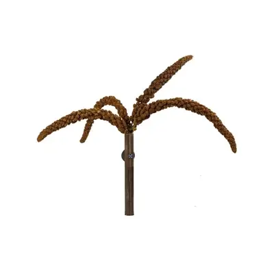 Back Zoo Nature Franse trosgierst rood 150 g – voor vogels en knaagdieren - Afbeelding 5