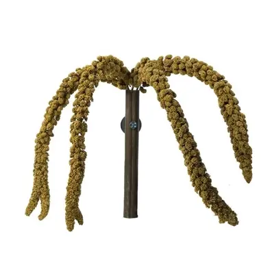 Back Zoo Nature Franse trosgierst geel 150 g – voor vogels en knaagdieren - Afbeelding 5
