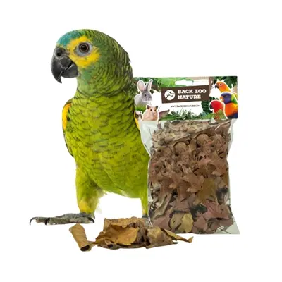 Back Zoo Nature Discovery Leaves 50 g – eikenbladeren voor het verblijf - Afbeelding 4