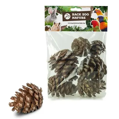 Back Zoo Nature dennenappels 6 stuks – bodemverrijking knaagdieren