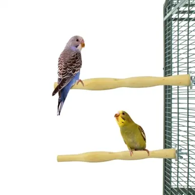 Back Zoo Nature zitstokken Wood Perch 25 cm – set van 2, kromsnavels - Afbeelding 4