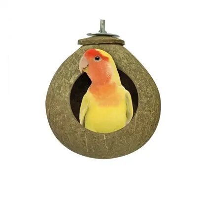 Back Zoo Nature Coconut House ca. 9,5 cm – schuilplek van kokosnootschil - Afbeelding 5