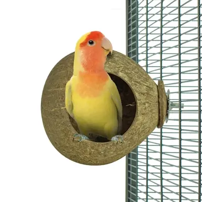 Back Zoo Nature Coconut House ca. 9,5 cm – schuilplek van kokosnootschil - Afbeelding 6
