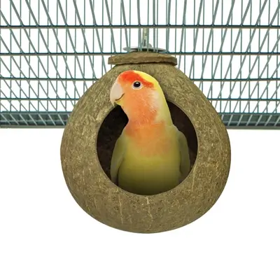 Back Zoo Nature Coconut House ca. 9,5 cm – schuilplek van kokosnootschil - Afbeelding 8