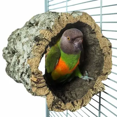 Back Zoo Nature Trunkhut kurk 20 x 15-20 cm – schuilplaats voor vogels - Afbeelding 4