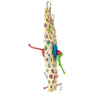 Back Zoo Nature foerageerspeeltje Taco Waco 27 x 15 cm - Afbeelding 5