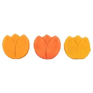 Trixie tulp met kippenborst 25 g – glutenvrije hondensnack - Afbeelding 2