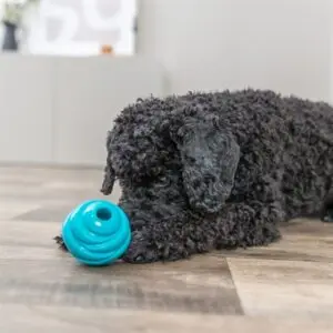 Trixie Super Strong bal TPR petrol 6 x 6 x 6 cm – spiraalvorm voor honden - Afbeelding 5