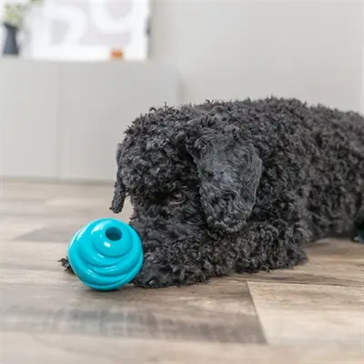Trixie Super Strong bal TPR petrol 6 x 6 x 6 cm – spiraalvorm voor honden
