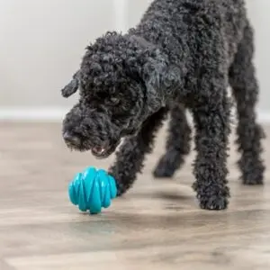 Trixie Super Strong bal TPR petrol 6 x 6 x 6 cm – spiraalvorm voor honden - Afbeelding 7