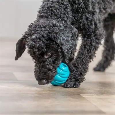 Trixie Super Strong bal TPR petrol 6 x 6 x 6 cm – spiraalvorm voor honden