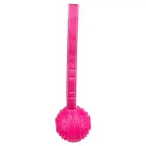 Trixie werpbal Soft & Strong TPR roze 29 cm – met lus en noppen - Afbeelding 4