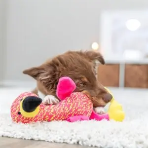 Trixie hondenspeeltje flamingo roze/geel 32 x 12 x 11 cm – stof - Afbeelding 8