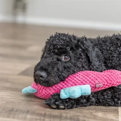 Trixie hondenspeeltje zeepaard roze/aqua 28 x 15,5 x 7,5 cm – stof