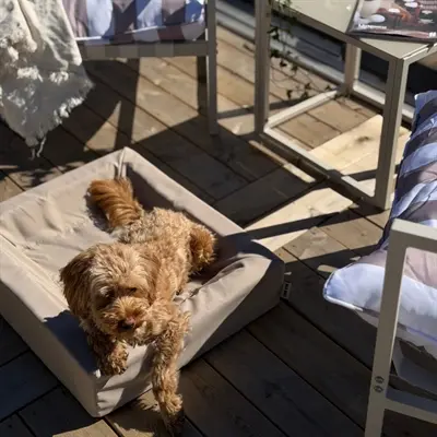 Bia Bed outdoor hoes voor hondenmand taupe Bia-2 60 x 50 x 12,5 cm