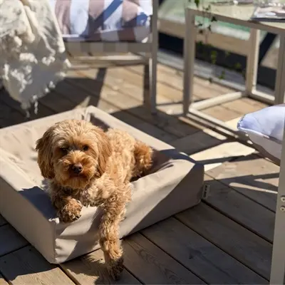 Bia Bed outdoor hoes voor hondenmand taupe Bia-3 70 x 60 x 15 cm