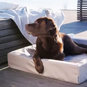 Bia Bed outdoor hoes voor hondenmand taupe Bia-4 85 x 70 x 15 cm - Afbeelding 7