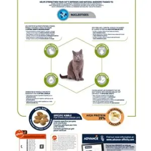 Advance kattenvoer Junior Sterilized kip 1,5 kg – gesteriliseerde kittens - Afbeelding 5