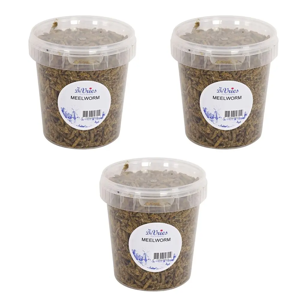 De Vries Black Soldier Fly meelwormen 120 g (870 ml) – multipack 3 stuks