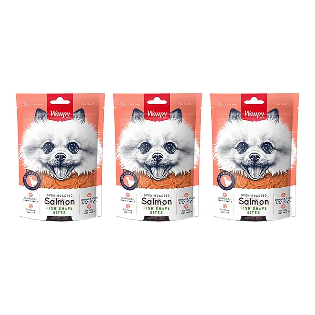 Wanpy hondensnack zalm in visvorm 100 g – multipack 3 stuks