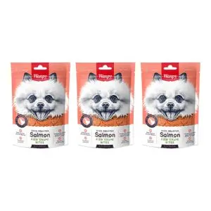 Wanpy hondensnack zalm in visvorm 100 g – multipack 3 stuks - Afbeelding 1