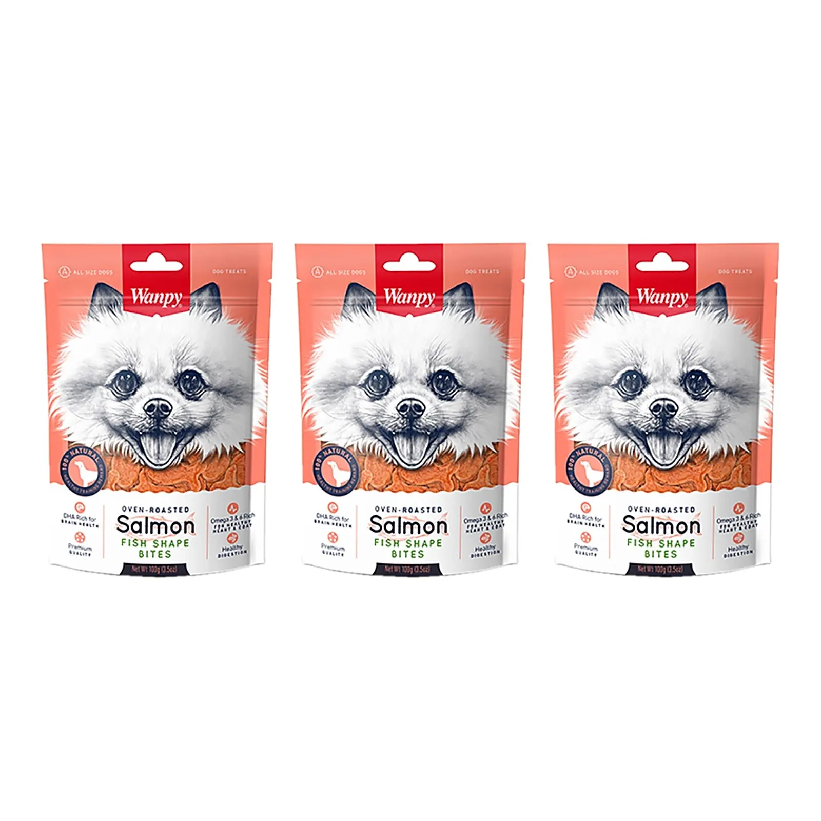 Wanpy hondensnack zalm in visvorm 100 g – multipack 3 stuks - Afbeelding 1